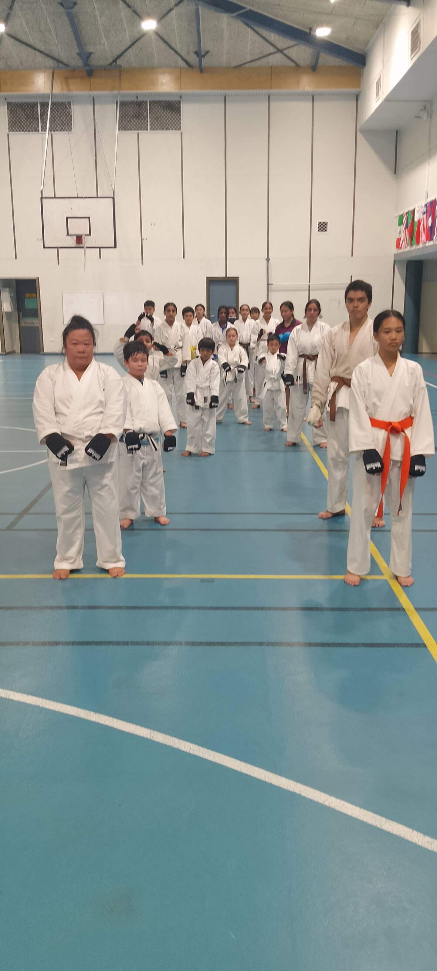 Kumite gloves sparring
